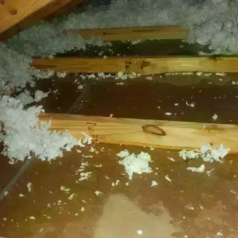 Attic Water Damage in Franklinton, LA